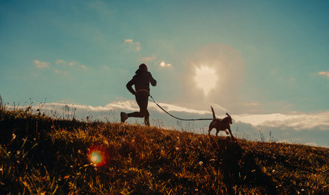 We believe in clean, natural pet health that really works. That’s why every supplement we make comes with The Onbord Promise: