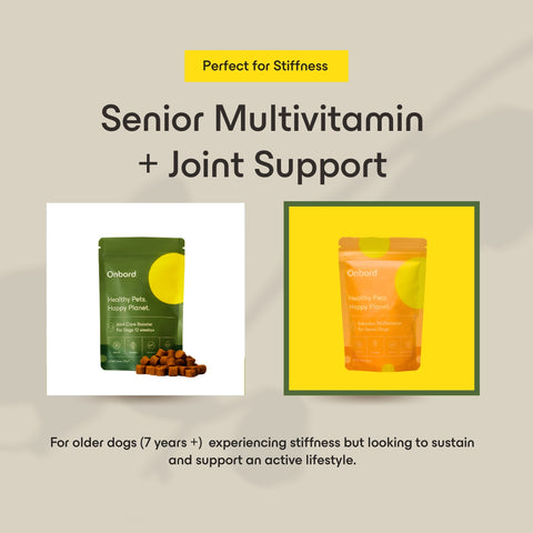 Senior Multivitamin + Joint Care Booster