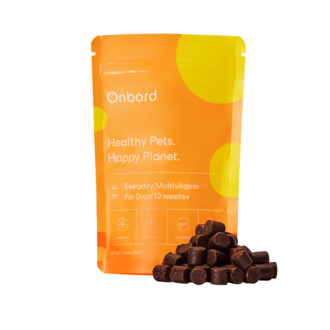 Everyday Multivitamin For Dogs 12 Weeks +