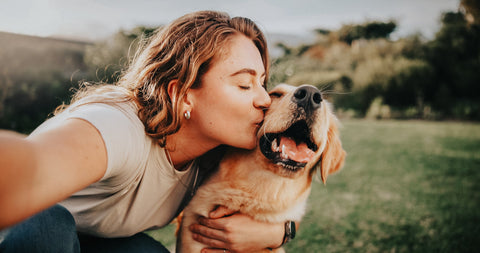 What Are the Best Probiotics for Dogs?