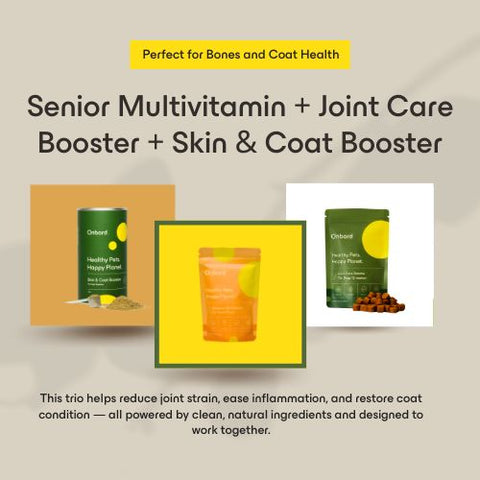 Senior Multivitamin + Joint Care Booster + Skin & Coat Booster
