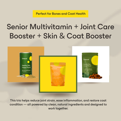 Senior Multivitamin + Joint Care Booster + Skin & Coat Booster