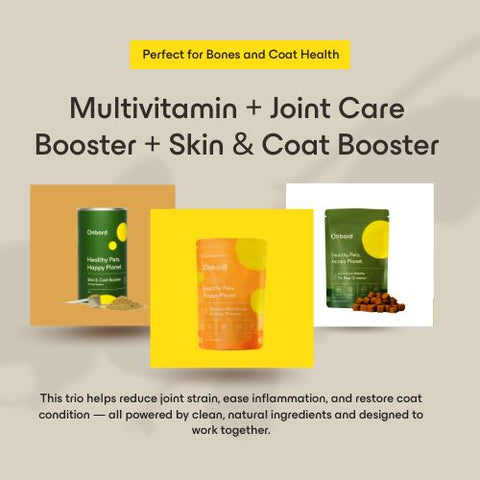 Multivitamin + Joint Care Booster + Skin & Coat Booster