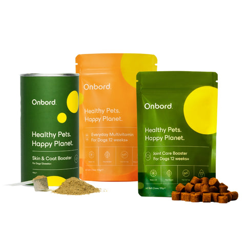 Multivitamin + Joint Care Booster + Skin & Coat Booster