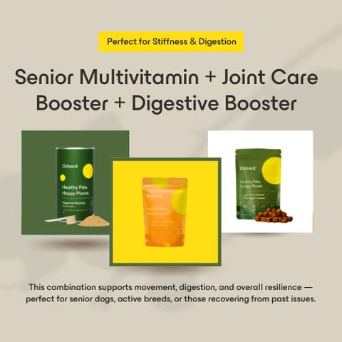 Senior Multivitamin + Joint Care Booster + Digestive Booster