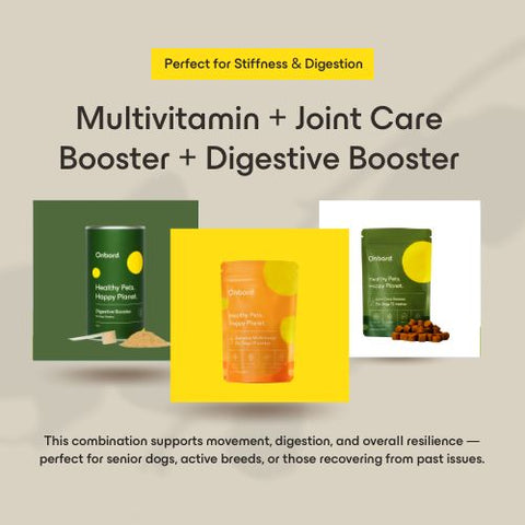 Multivitamin + Joint Care Booster + Digestive Booster