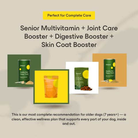 Senior Full Wellness Bundle