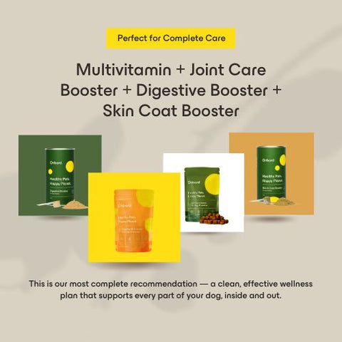 Full Wellness Bundle