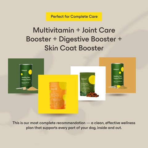 Full Wellness Bundle