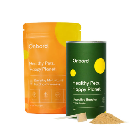 Multivitamin + Digestive Booster