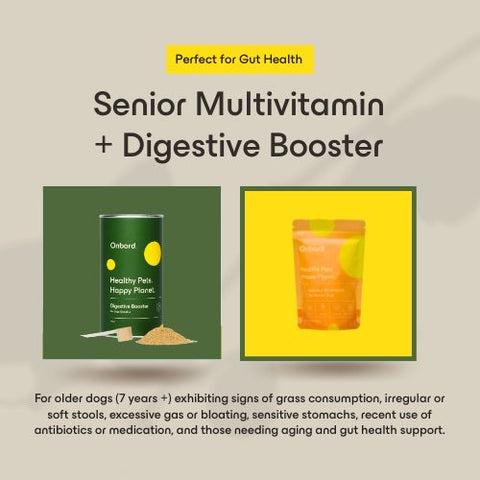 Senior Multivitamin + Digestive Booster