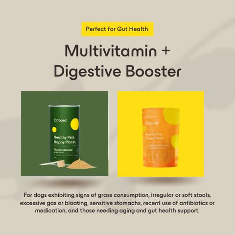 Multivitamin + Digestive Booster