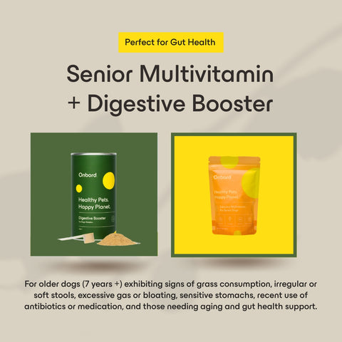 Senior Multivitamin + Digestive Booster