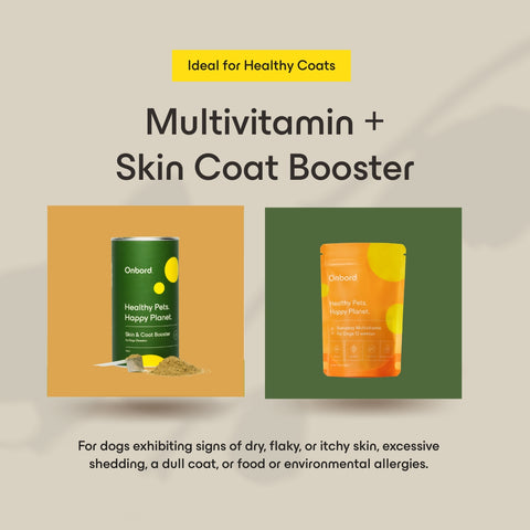 Multivitamin + Skin & Coat Booster