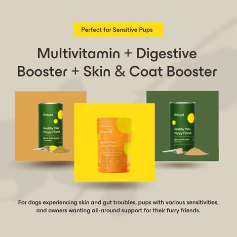 Multivitamin + Digestive Booster + Skin & Coat Booster