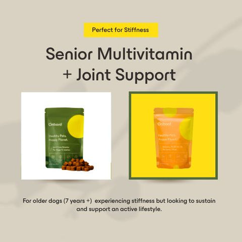 Senior Multivitamin + Joint Care Booster