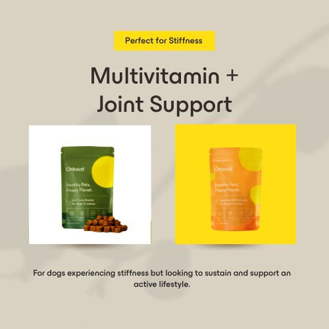 Multivitamin + Joint Care Booster