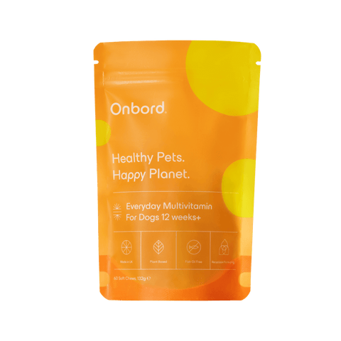 Everyday Multivitamin For Dogs 12 Weeks +