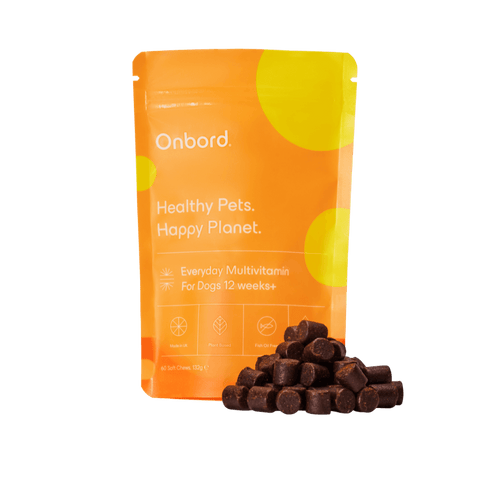 Everyday Multivitamin For Dogs 12 Weeks +