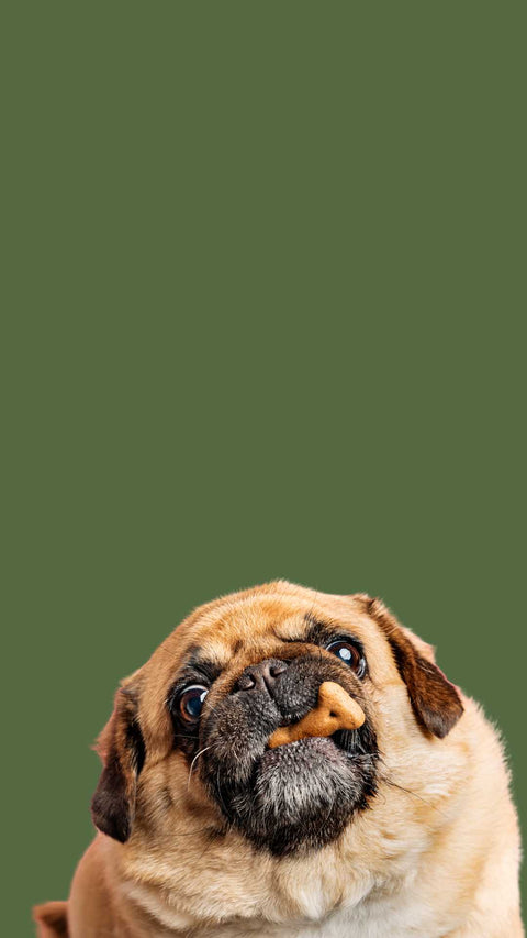 Get Onbord