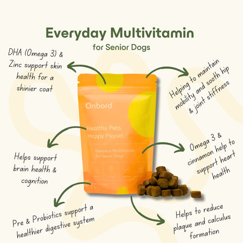 Everyday Multivitamin For Senior Dogs
