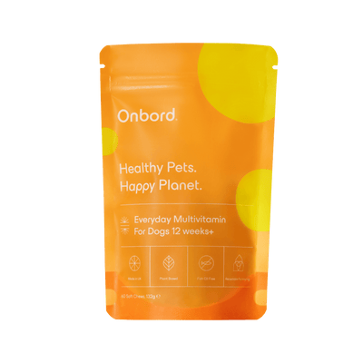 Everyday Multivitamin For Dogs 12 Weeks +